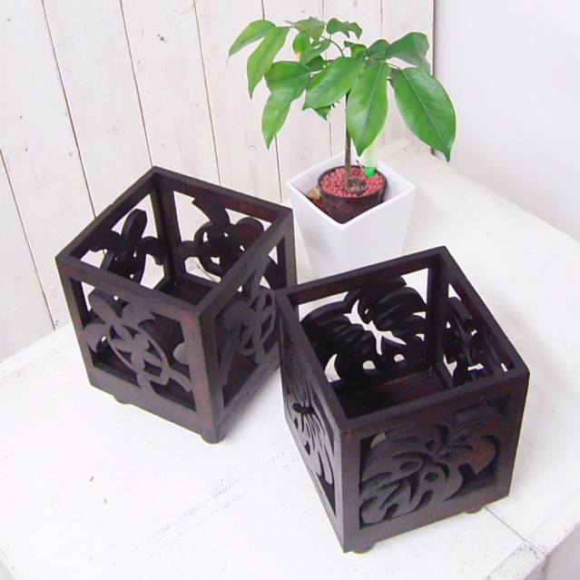 shanti / ����������(20W)