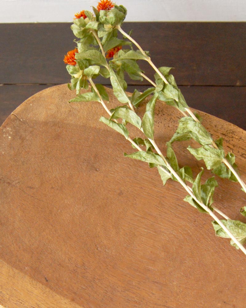 tesoro / vintage�����̥ե�²�ػ�
