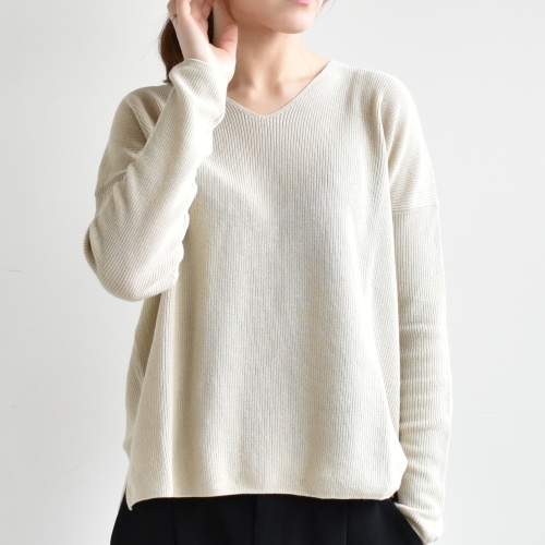 E201K027) / evam eva(エヴァムエヴァ) / c/paper V neck PO
