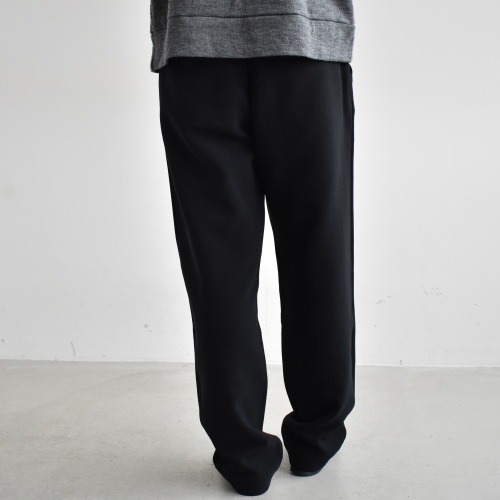cotton wide pants コットンワイドパンツ evam eva | 日々花