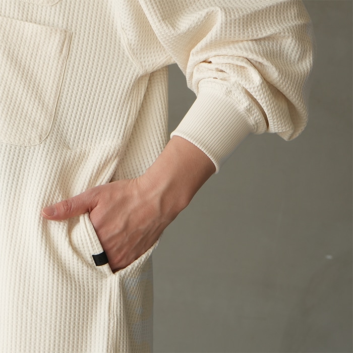 ☆(be-35025l) / DAIWA PIER39(ダイワピアサーティナイン) /W's TECH