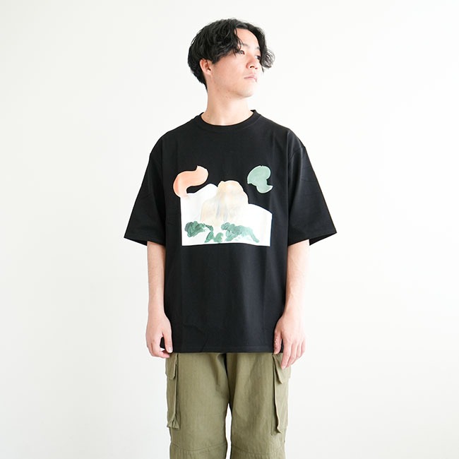 新品 XL ノースフェイスパープルレーベル フィールドグラフィックTシャツ THE NORTH FACE PURPLE LABEL H/S Graphic Tee Mix Gray 23SS-I