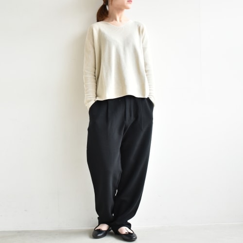 e221k026) / evam eva(エヴァムエヴァ) / cotton v neck