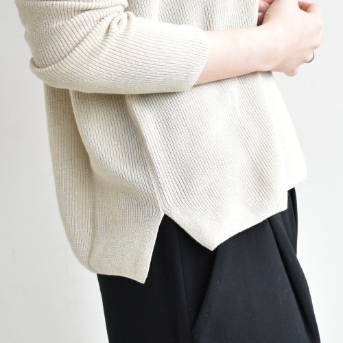 E201K027) / evam eva(エヴァムエヴァ) / c/paper V neck PO