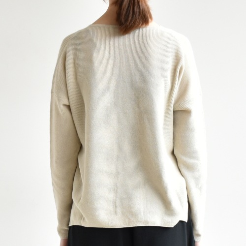 E201K027) / evam eva(エヴァムエヴァ) / c/paper V neck PO (コットン  