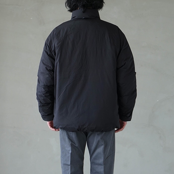 bj-20022w) / DAIWA PIER39(ダイワピアサーティナイン)TECH MULCH