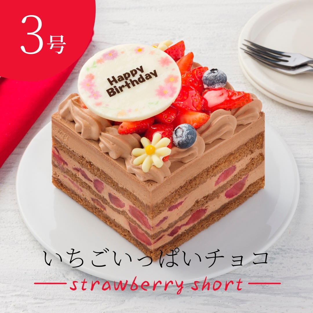 いちごいっぱいチョコケーキ