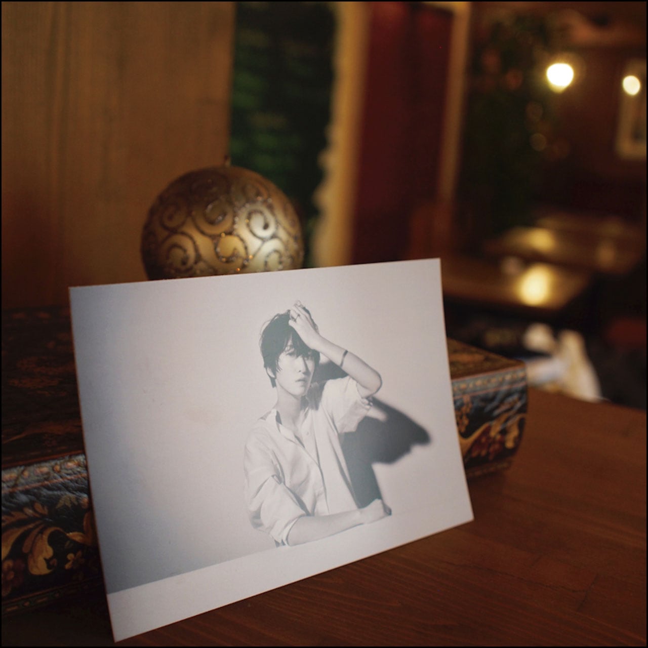 日食ポストカード【ネコポス】