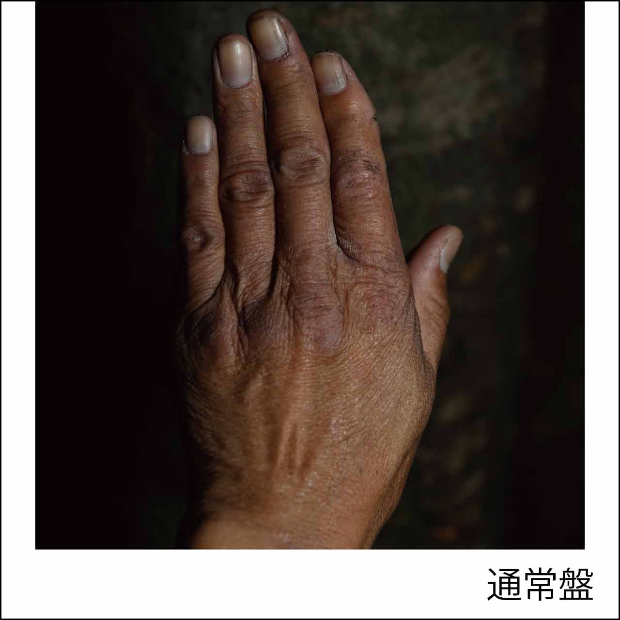 湯木慧 | LD&K ONLINE SHOP