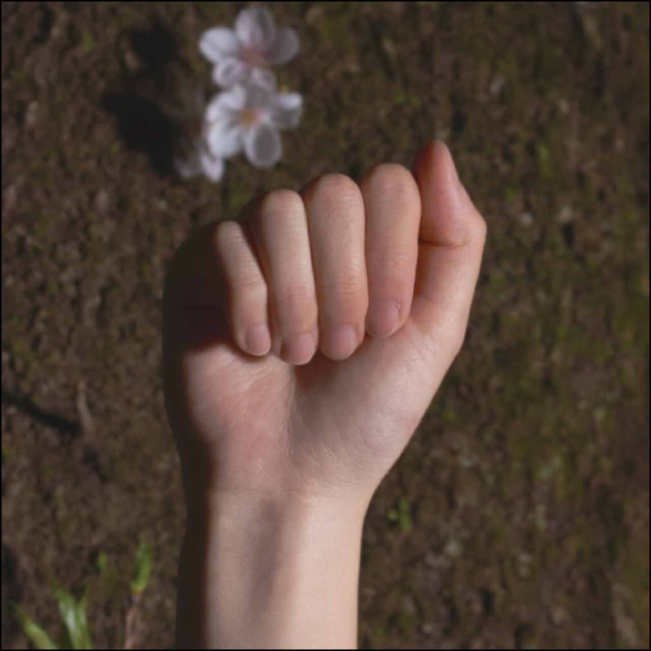 「O」【ネコポス】