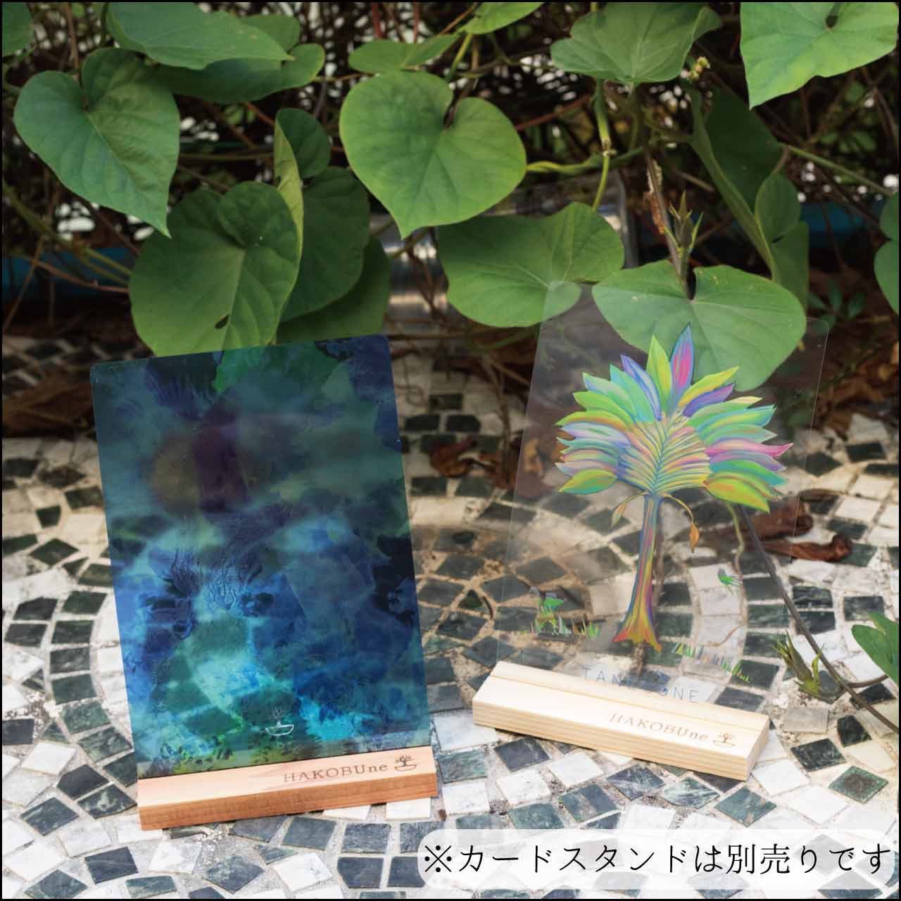 透明な海の先には何が見えるかポストカード