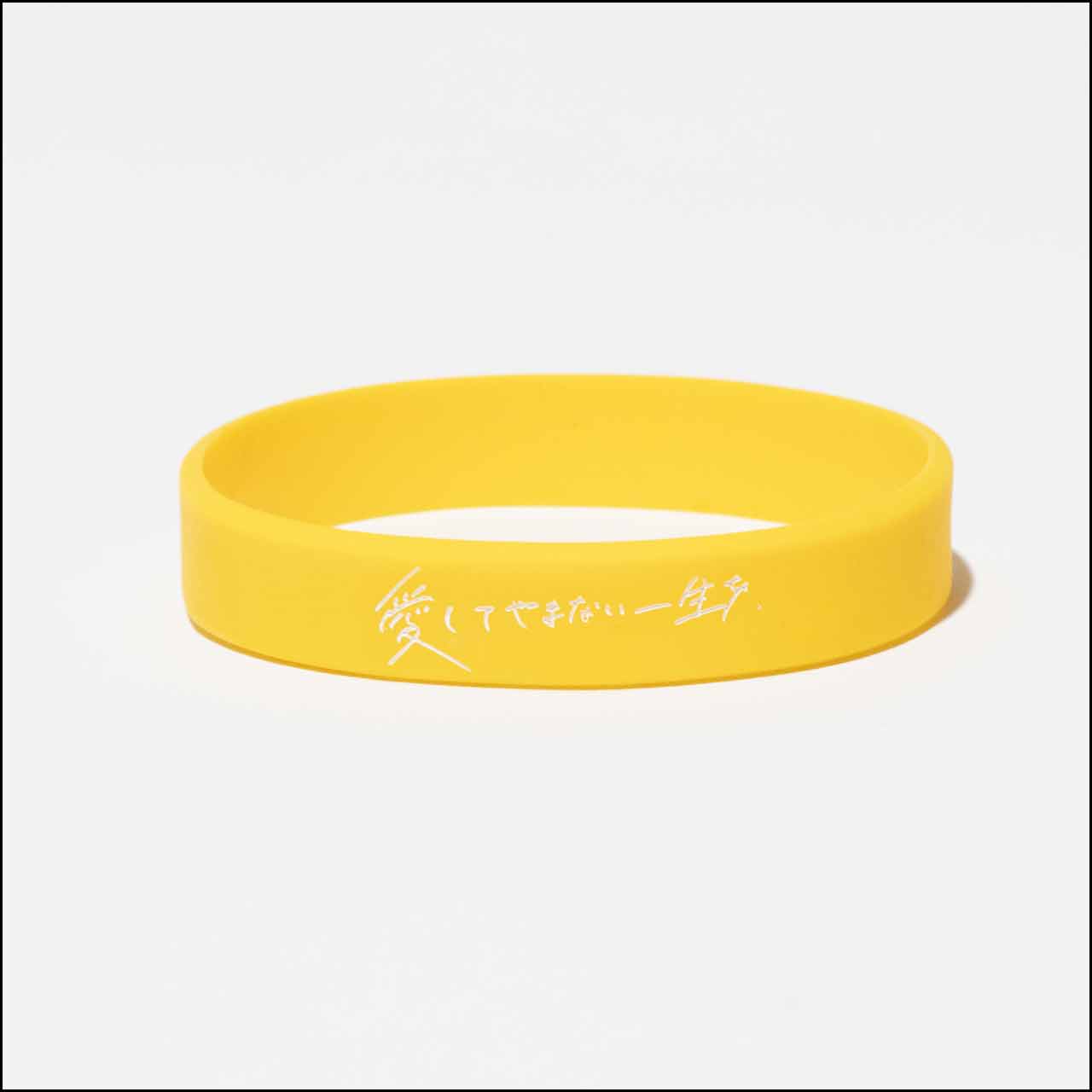 ラバーバンド【ネコポス】