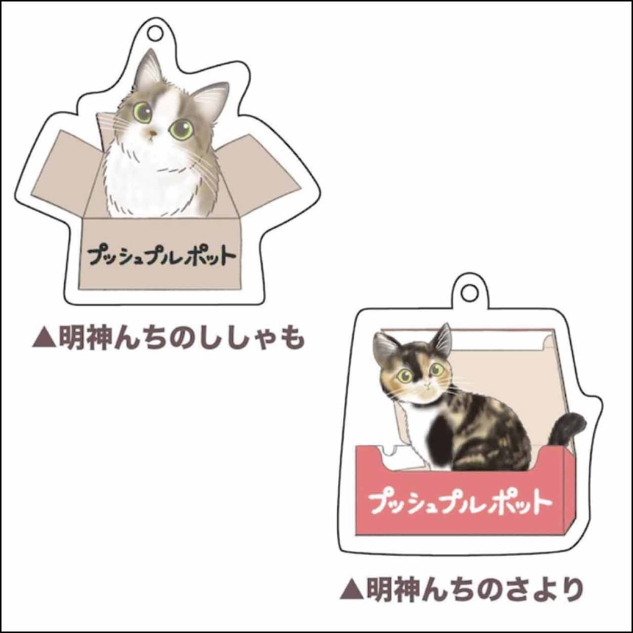 明神ちのネコキー