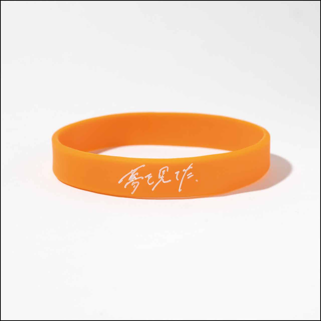 ラバーバンド2【ネコポス】