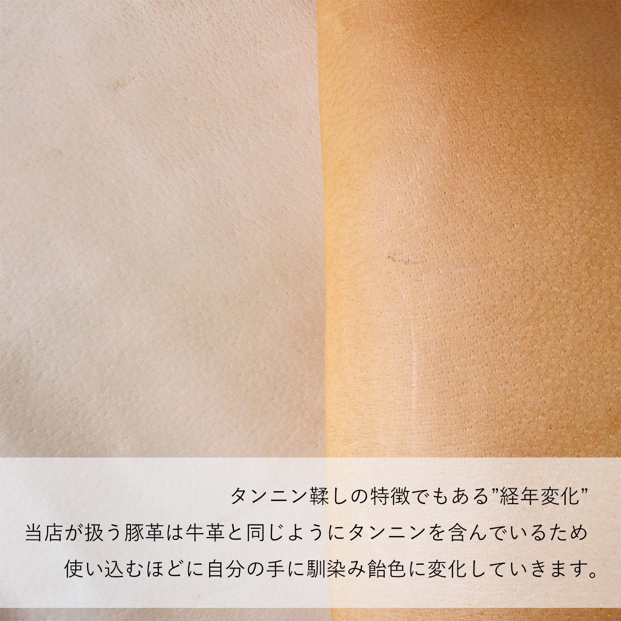 【 本ヌメ革 豚革 小銭入れ ダブルファスナー 】 ZIP コインウォレット ／ コインケース ・ pigskin ピッグスキン レザー 本革 ｜ 経年変化 おすすめ nfl pst