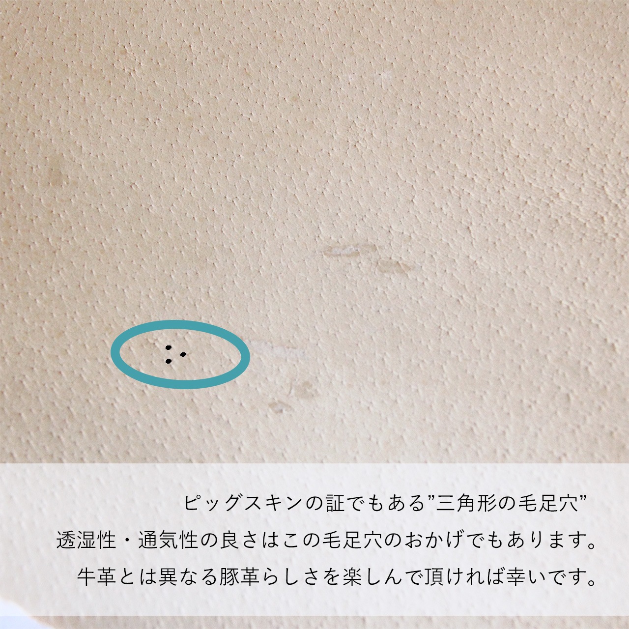 【 本ヌメ革 豚革 小銭入れ ダブルファスナー 】 ZIP コインウォレット ／ コインケース ・ pigskin ピッグスキン レザー 本革 ｜ 経年変化 おすすめ nfl pst