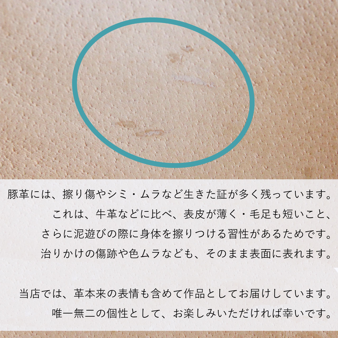 【 本ヌメ革 豚革 小銭入れ ダブルファスナー 】 ZIP コインウォレット ／ コインケース ・ pigskin ピッグスキン レザー 本革 ｜ 経年変化 おすすめ nfl pst