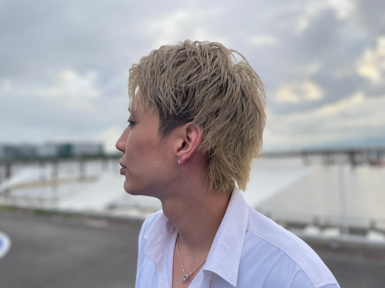 ウォーターサーフェスラウンドピアス 《LDSE-005》の写真