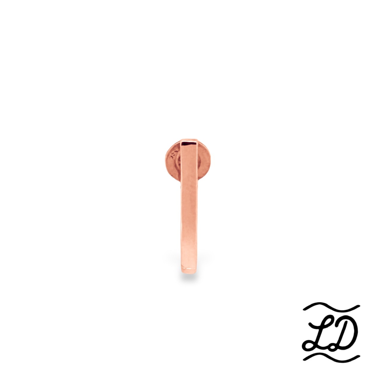 フィッシュフックピアス《LDSE-020/K18P》の写真