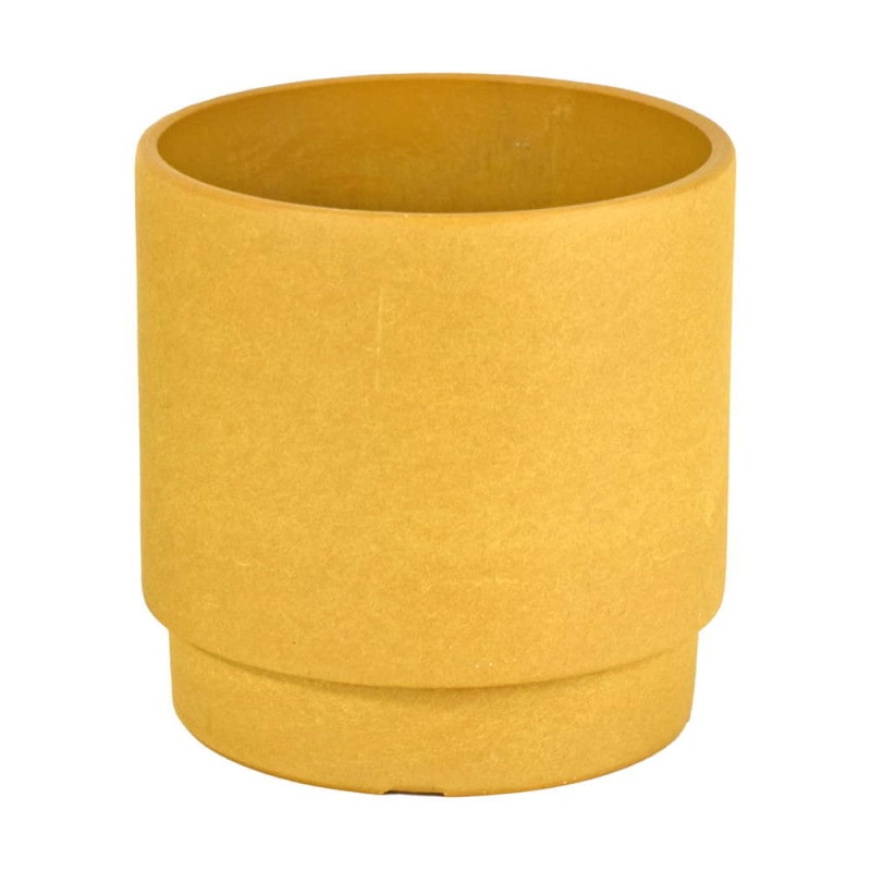 LSP-52066 �����å��١��� 12 ���������������