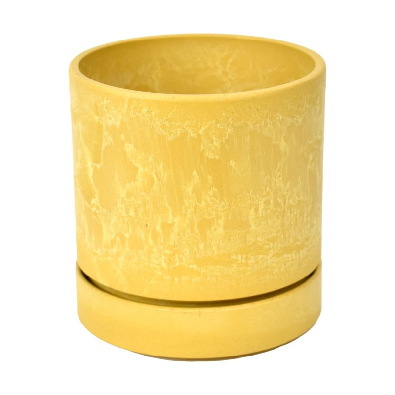 LSP-53249 �����ɥ��ꥫ��ݥå� 12 ���������������