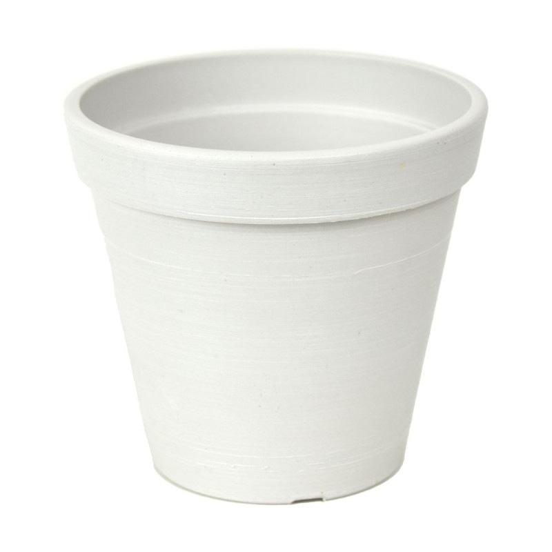 LSP-53257 ���å��ݥå� 12 �ۥ磻��