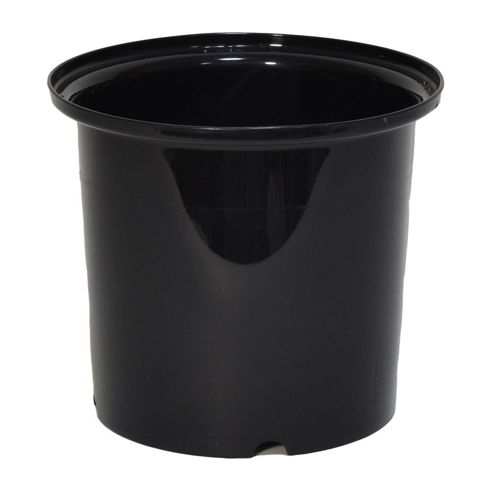 GV11111B GV�����桡���ȥ����̎ގ׎���