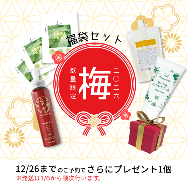 【数量限定】2026福袋 梅<br>（2026年1月6日以降発送になります）