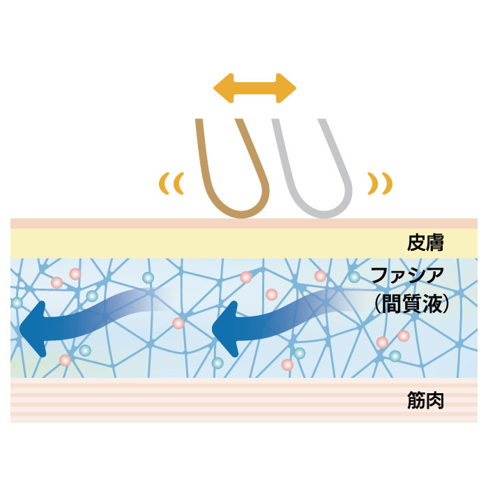 フェアリーゴットマザー 生体ゆるなでブラシ