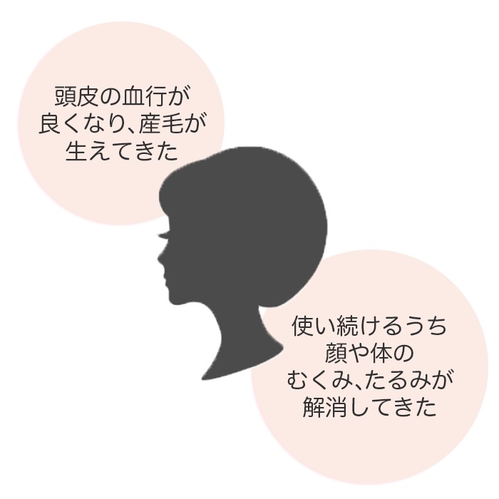 フェアリーゴットマザー 生体ゆるなでブラシ