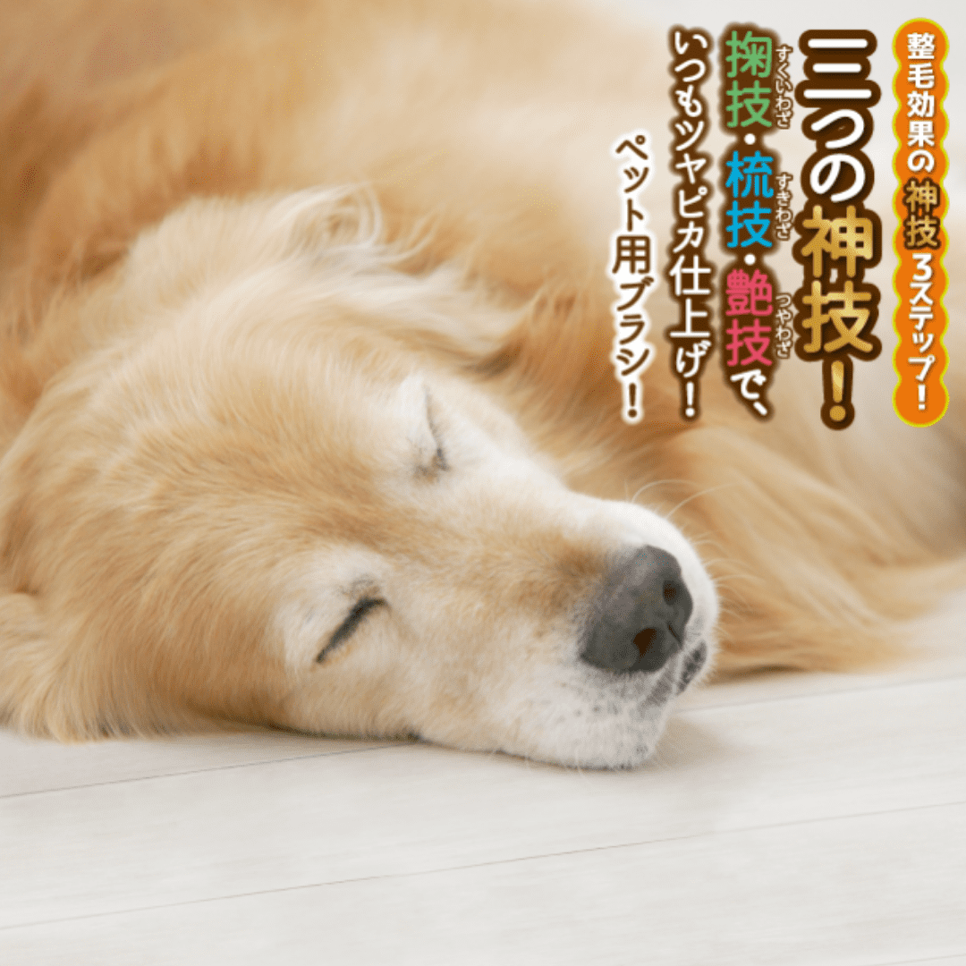 ののじ るんるんリング・ブラシ