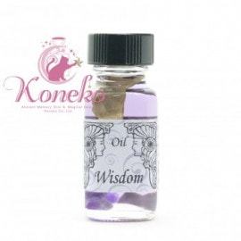 Wisdom�ڸ�����ηáۡ������ٻߥ������