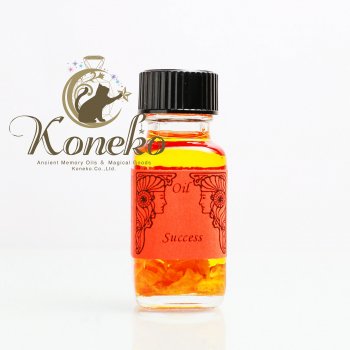 Success��������