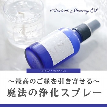 ���ǹ�Τ��������󤻤�� ����ˡ�ξ������ץ졼�ץ��꡼������