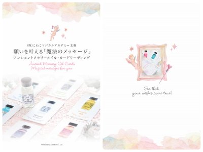 ��ư��ܥƥ����ȡۥ��󥷥���ȥ��꡼�����롦�����ɥ꡼�ǥ����̿��ֺ�