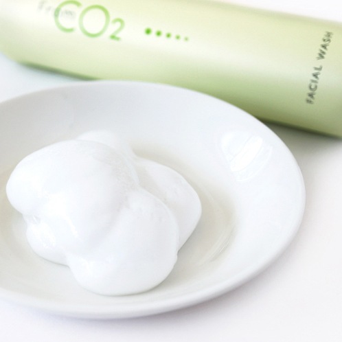 fromCO2 �ե�������륦���å���