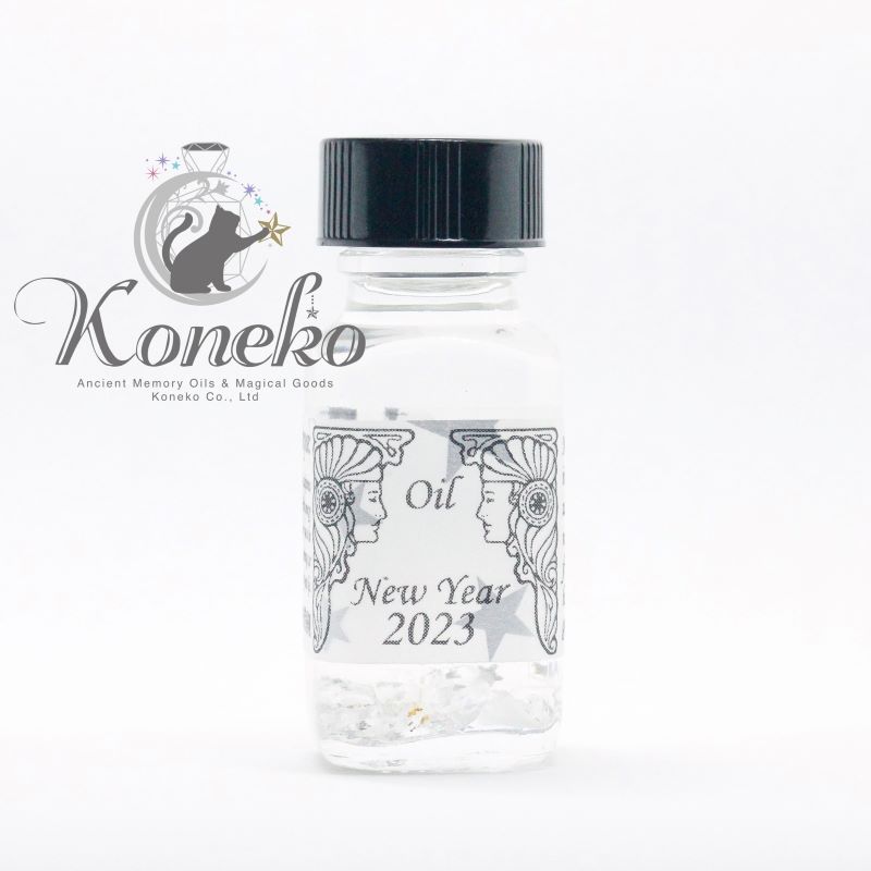 New Year 2023�ڶ�쿷ǯ2023�ۢ�2023ǯ���ꥪ����