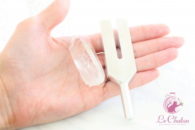 ���ꥹ����ҡ���󥰥��塼�ʡ�