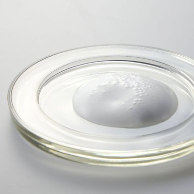 �ڿ��̸����CO2����󥸥󥰥��������ʥ���󥸥� / ���� / ���ѿ��180g