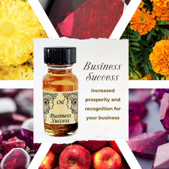 Business Success�ڥӥ��ͥ���������