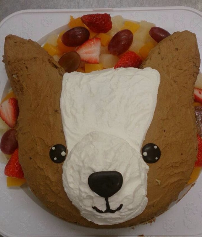 Ω�Υ�����1�ڸ���