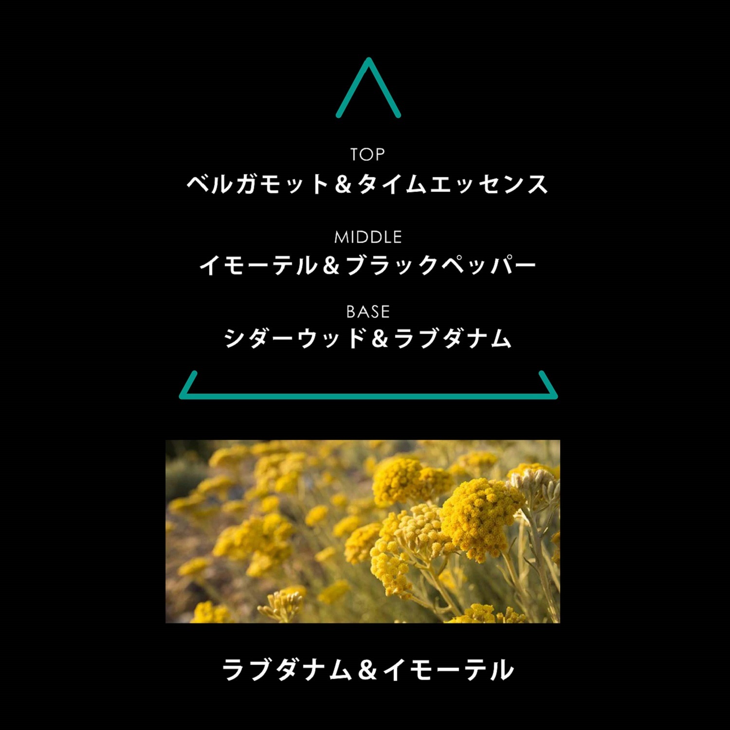 リマーカブル パルファム スペローネ
