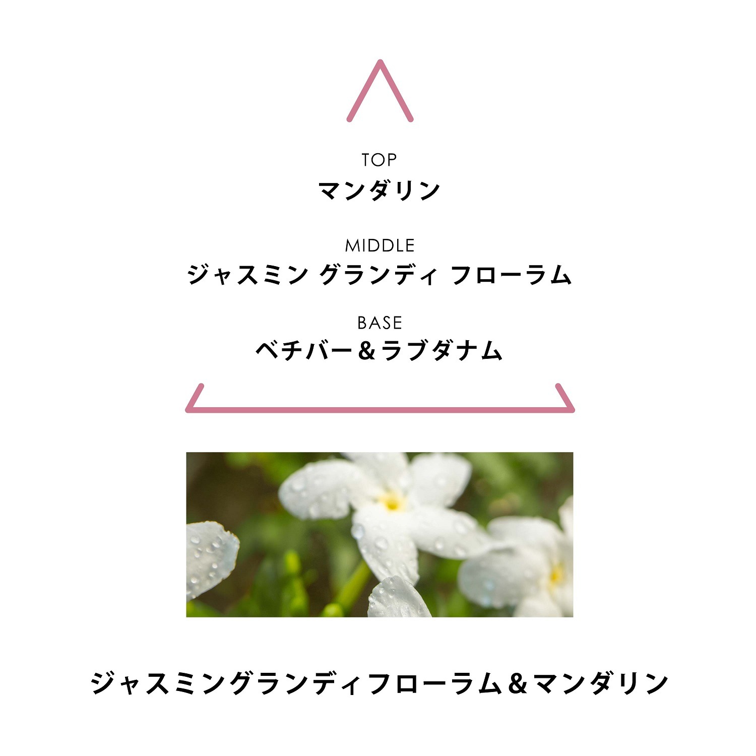 シンギュラー オーデパルファム リサンドラ