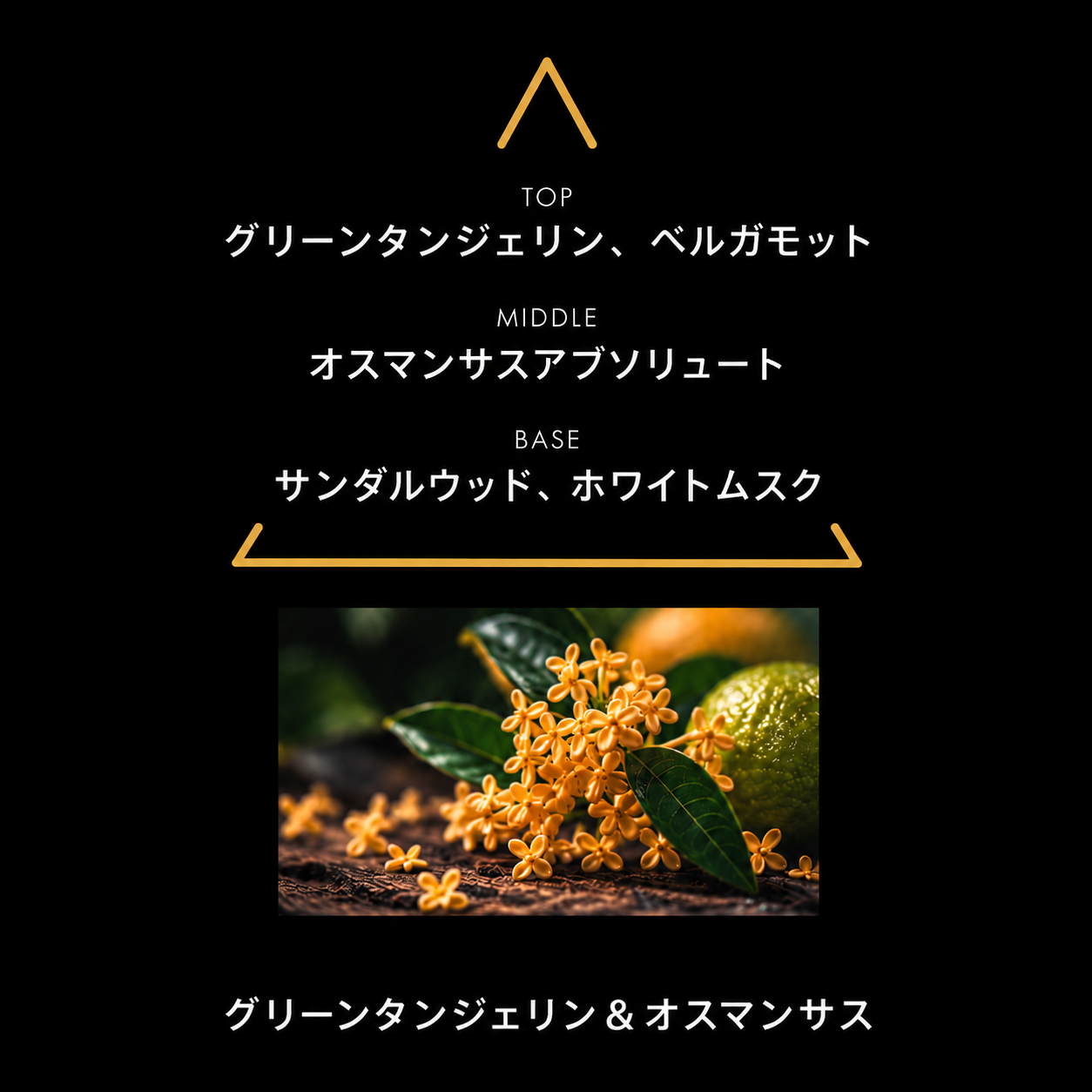 リマーカブル パルファム フーリー