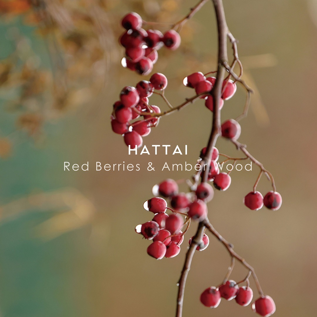 シンギュラー オーデパルファム アッタイ