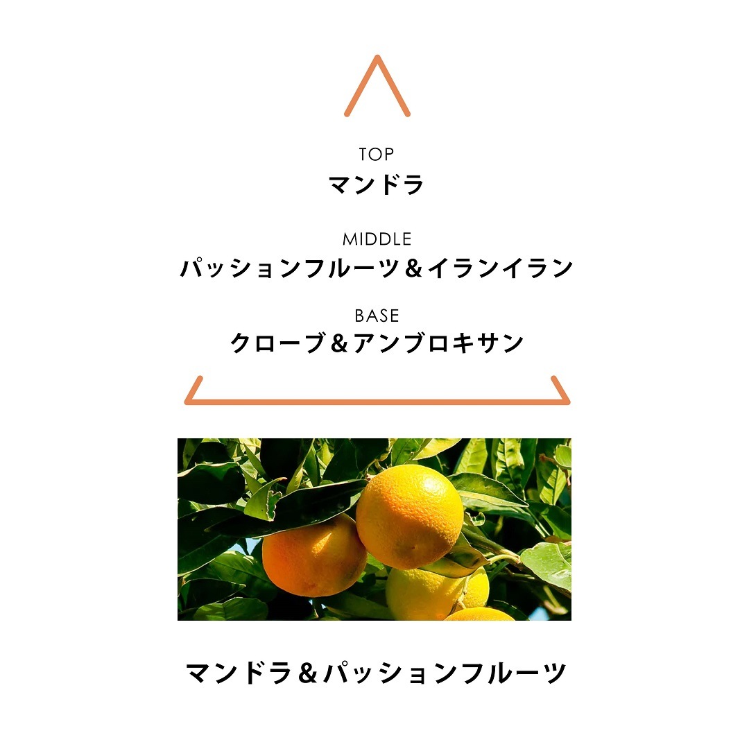 シンギュラー オーデパルファム アガピ