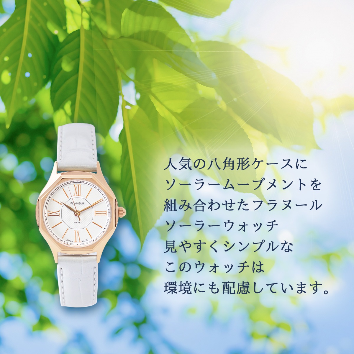 ե̡ 顼 Ȭѷ  ޿ ԥ󥯥 ǥ ӻ ٤ ץ٥ 쥶٥