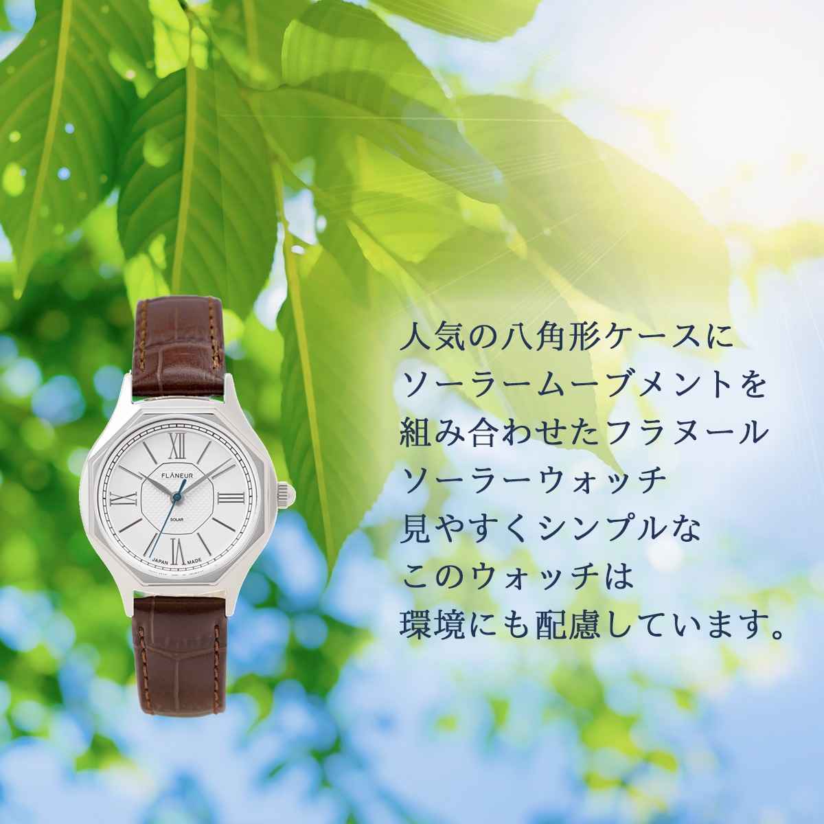 �ե�̡��� �����顼 Ȭ�ѷ� ����� �����޿��� ����С� ��ǥ����� �ӻ��� ���٤� �ץ٥�� �쥶���٥��