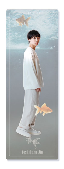 ��TRIANGLE�٥��ꥢ������