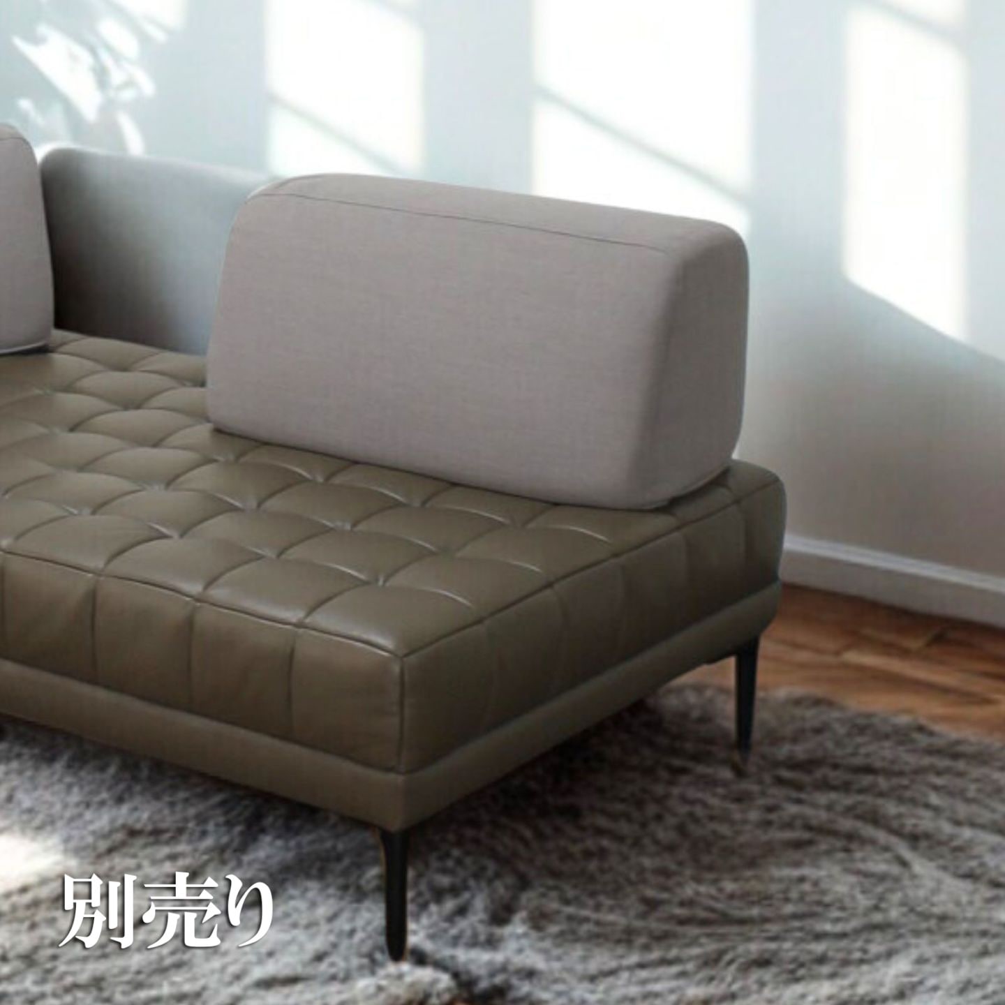 バッククッション（別売り）